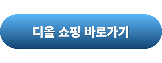 명품가방 브랜드 순위6