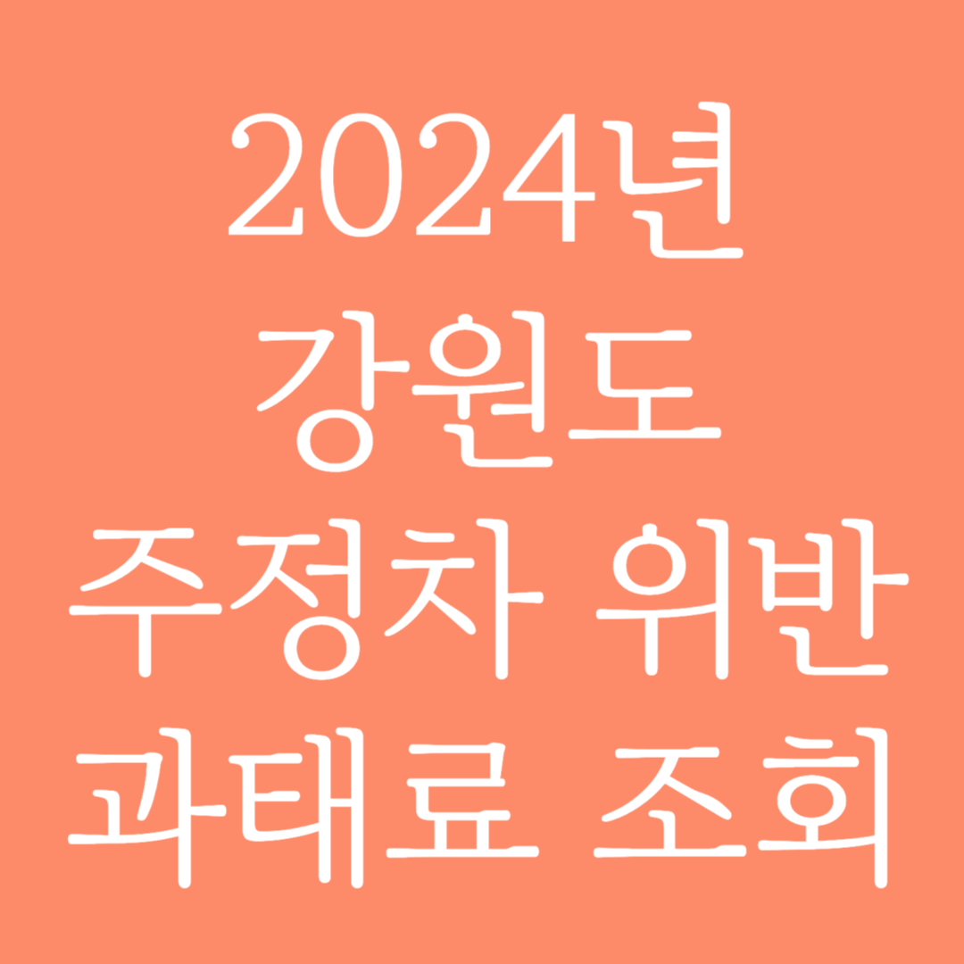 2024년 강원도 주정차 위반 과태료 조회하기