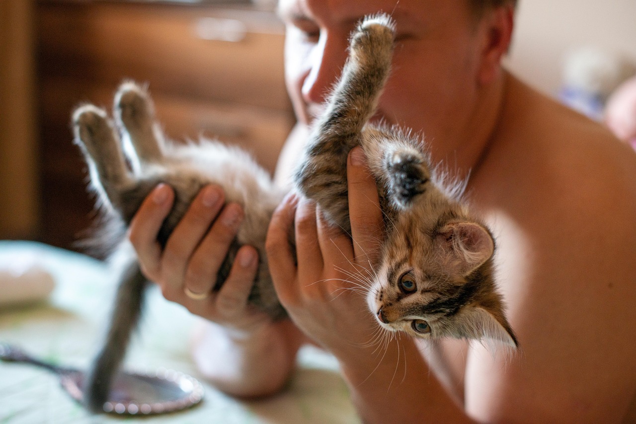 고양이와 교감하기