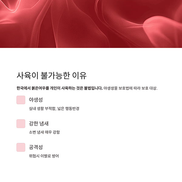 반려동물로 키울 수 있을까?