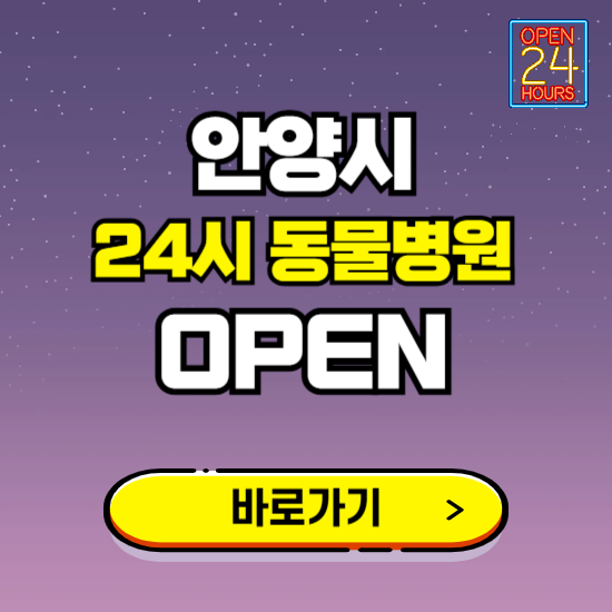 안양시 24시 동물병원 진료하는 곳 ❘ 설날 휴일 야간 심야 문여는곳 찾기 ❘ 응급진료