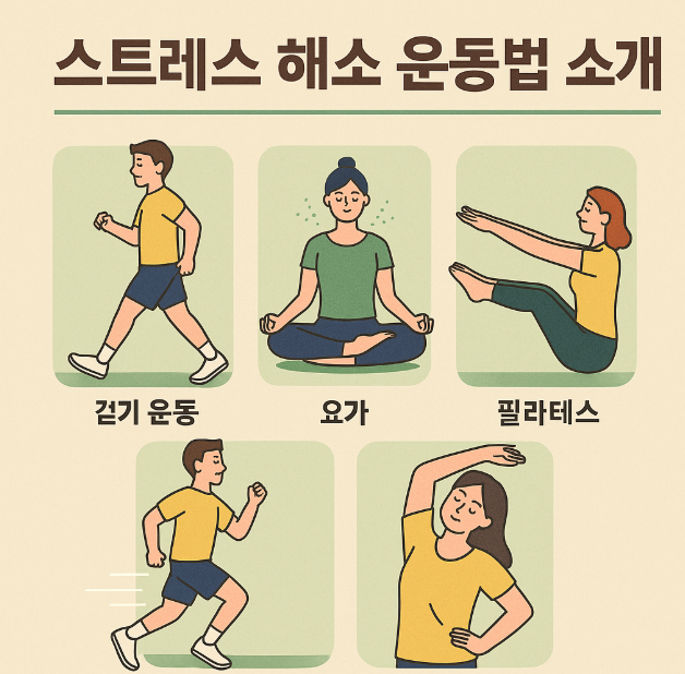 스트레스 해소 운동 관련 이미지