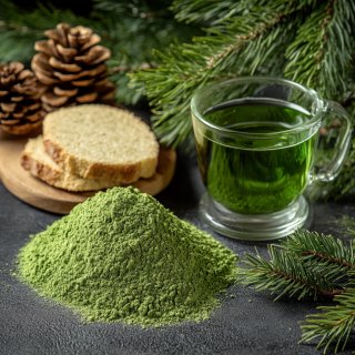 솔잎 효능, 피톤치드로 지키는 자연 건강 비밀