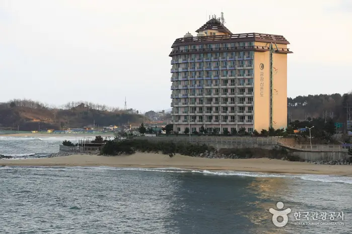 9515333c-0bb7-40ba-8188-c77fff5c79c2