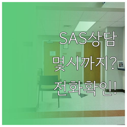 SAS 한국어 상담 가능 시간 및 전..