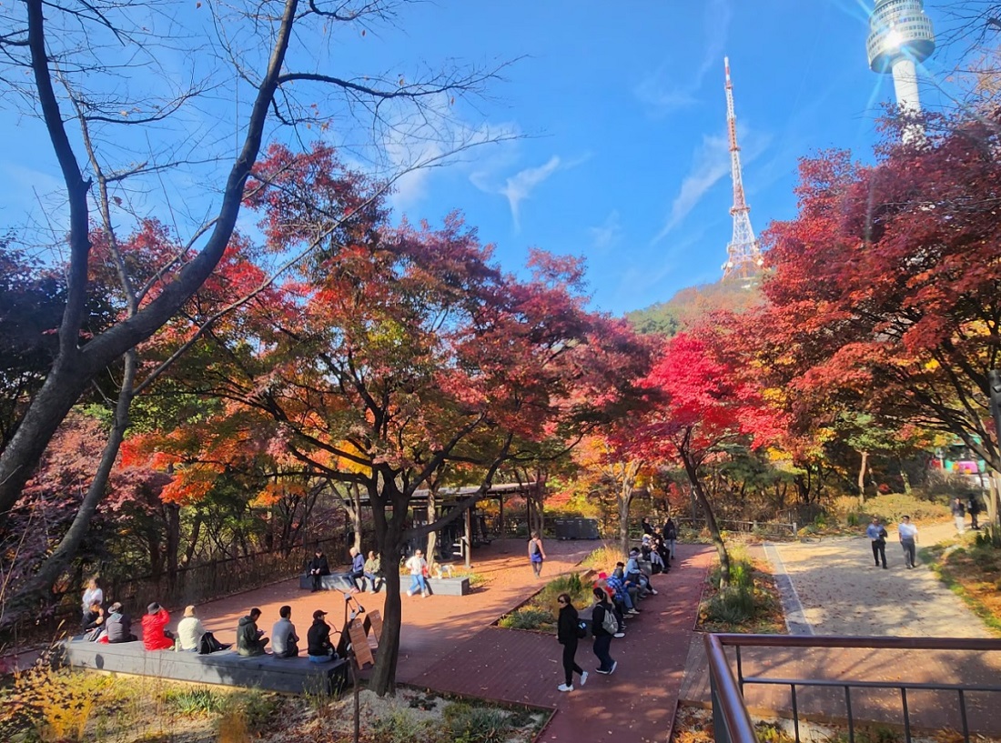 남산 하늘숲길 주차장 정보