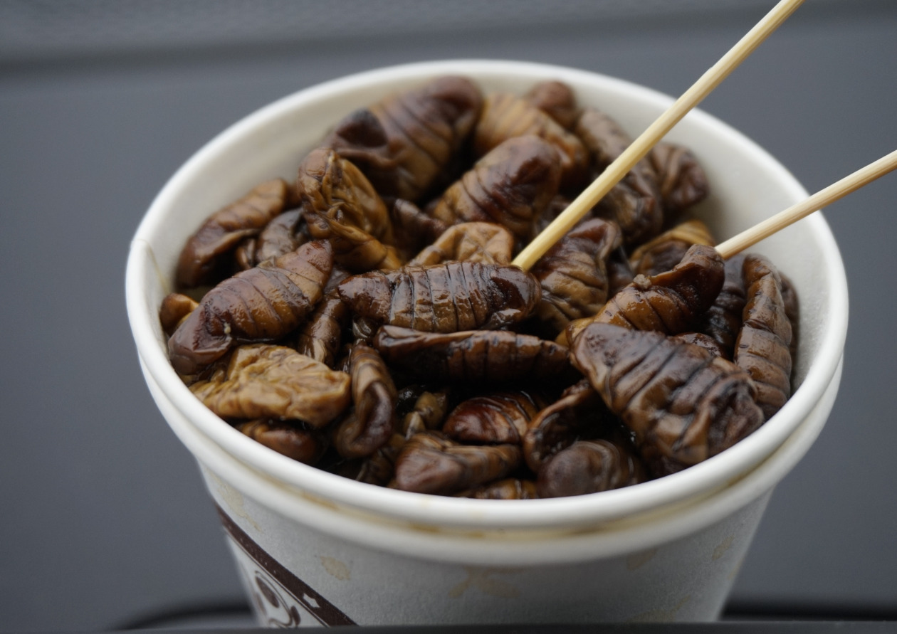 번데기 효능 칼로리, 삶는법 및 번데기탕 만들기