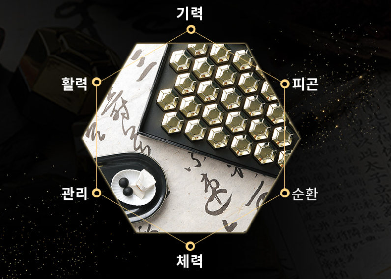 기력-피곤-순환-체력-관리-활력-도식