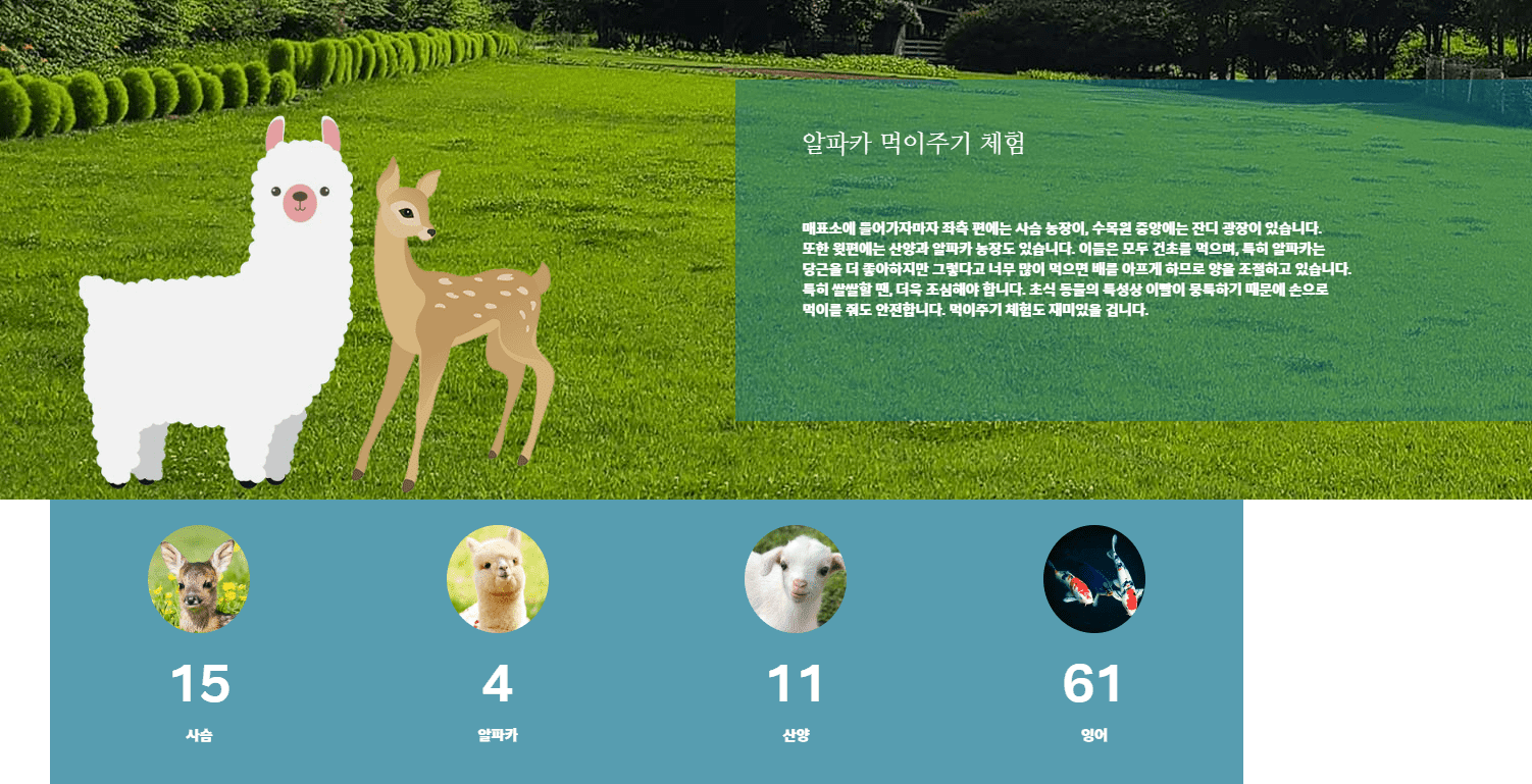 2024 봄축제 봄여행지