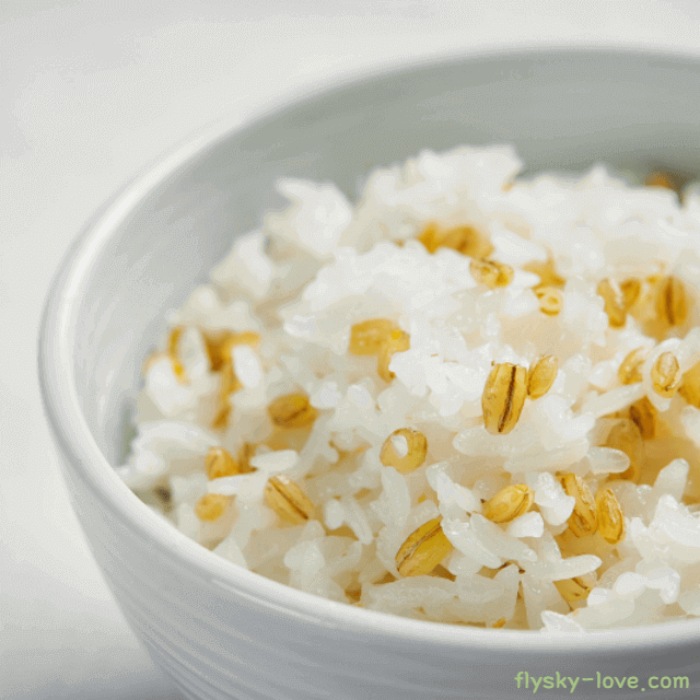 현미로 지은 밥