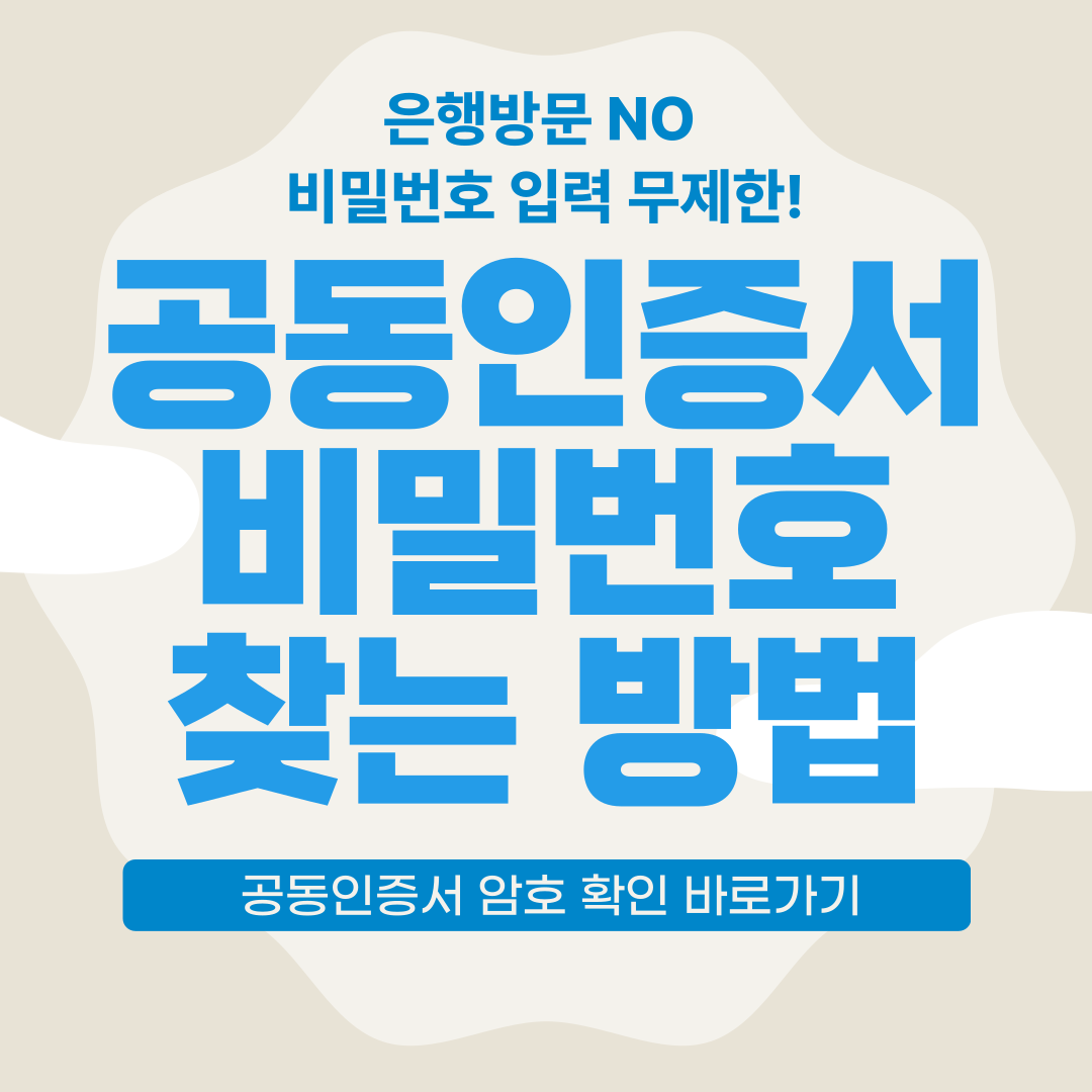 공동인증서 비밀번호