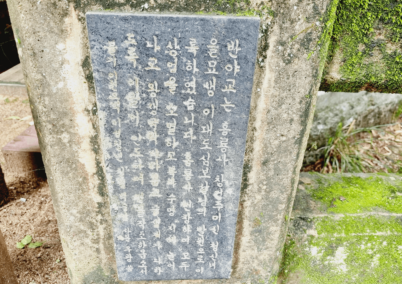 반야교