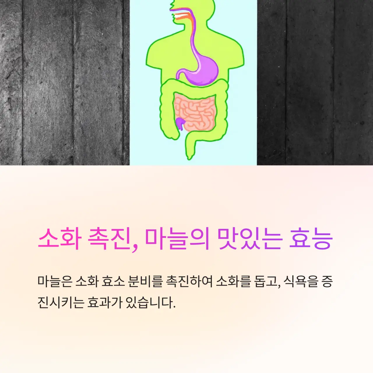 소화 촉진