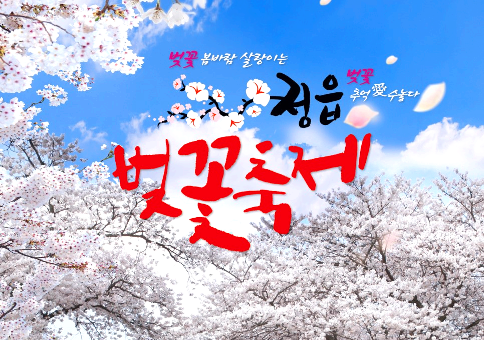 정읍 벚꽃축제