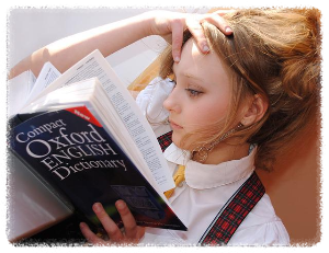 보조금 24 홈페이지