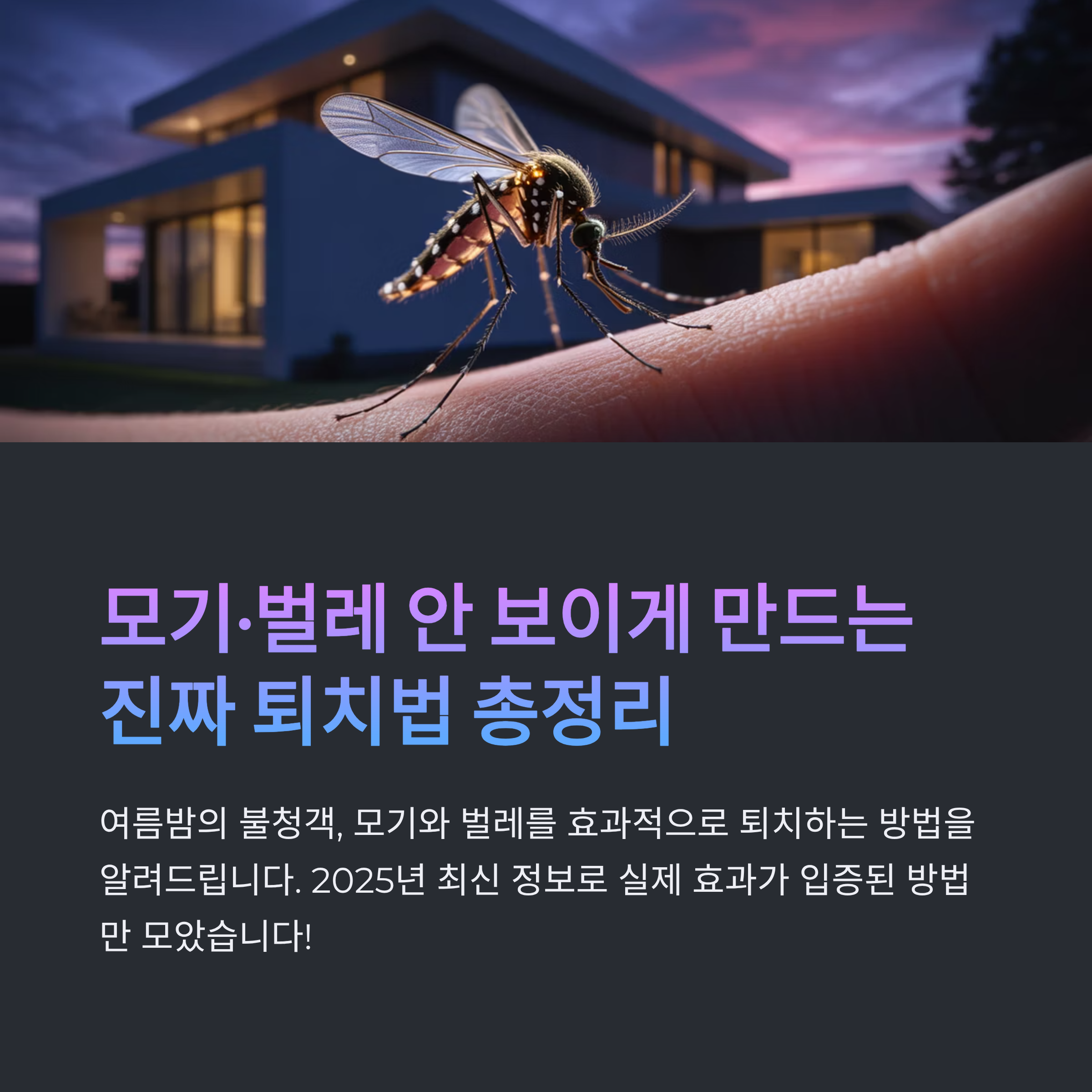 모기·벌레