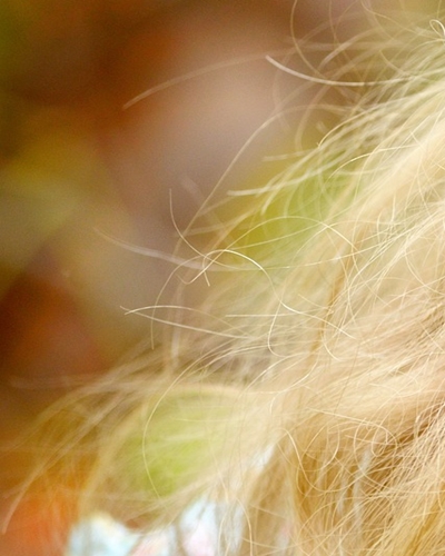 루테인 관련 사진16