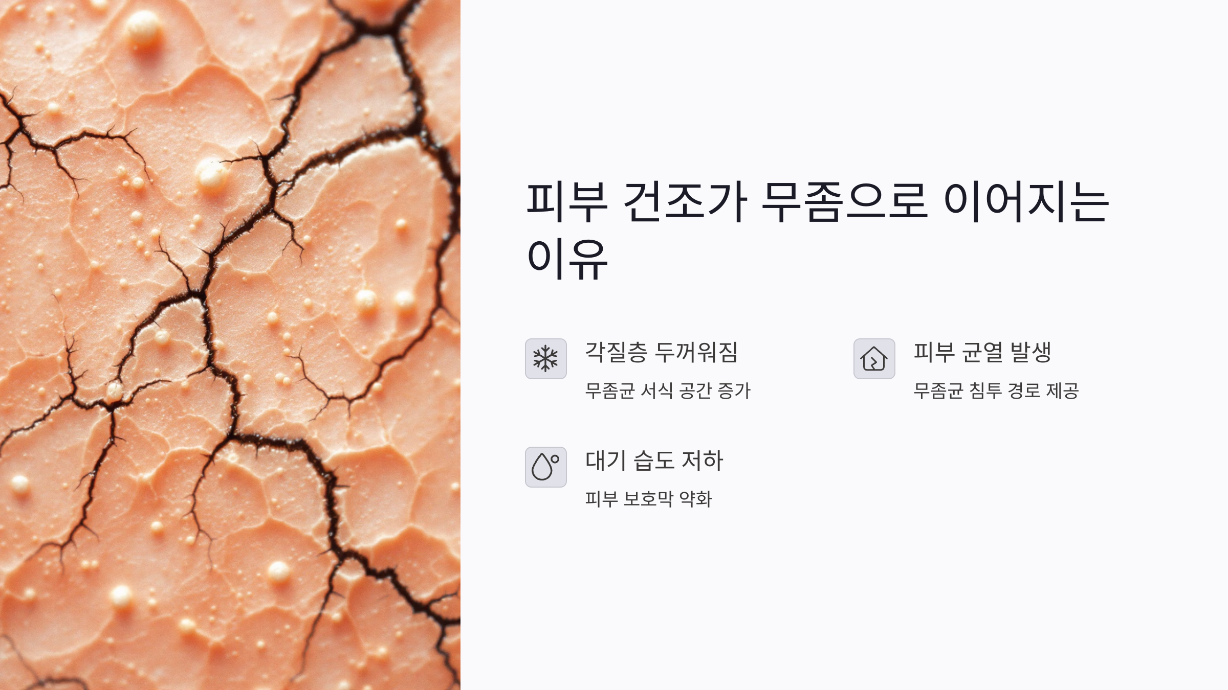 겨울 무좀 원인부터 예방법까지: 건조한 피부와 통풍 부족이 만드는 발 건강 위기