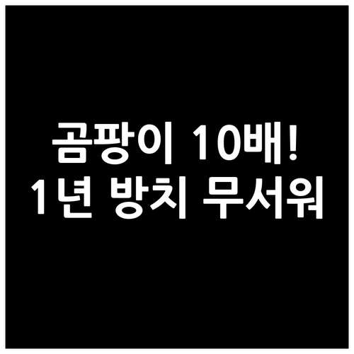 1년 방치 에어컨 곰팡이 포자 10배..