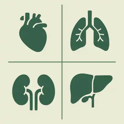만성질환 관리 내과 분과 진료