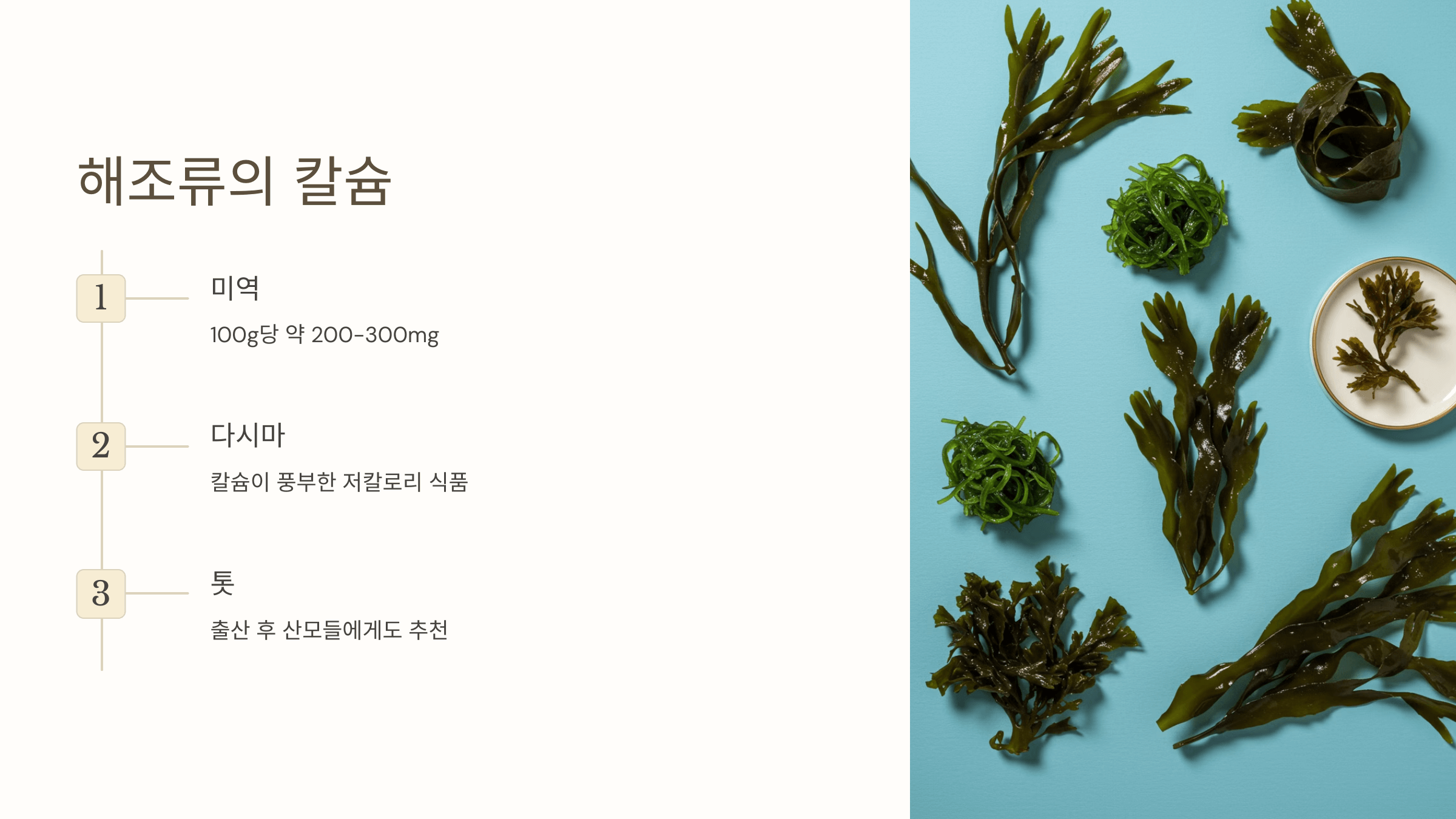 칼슘과 관련된 사진입니다.