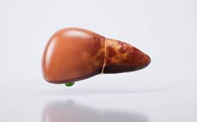 지방간 없애는 방법