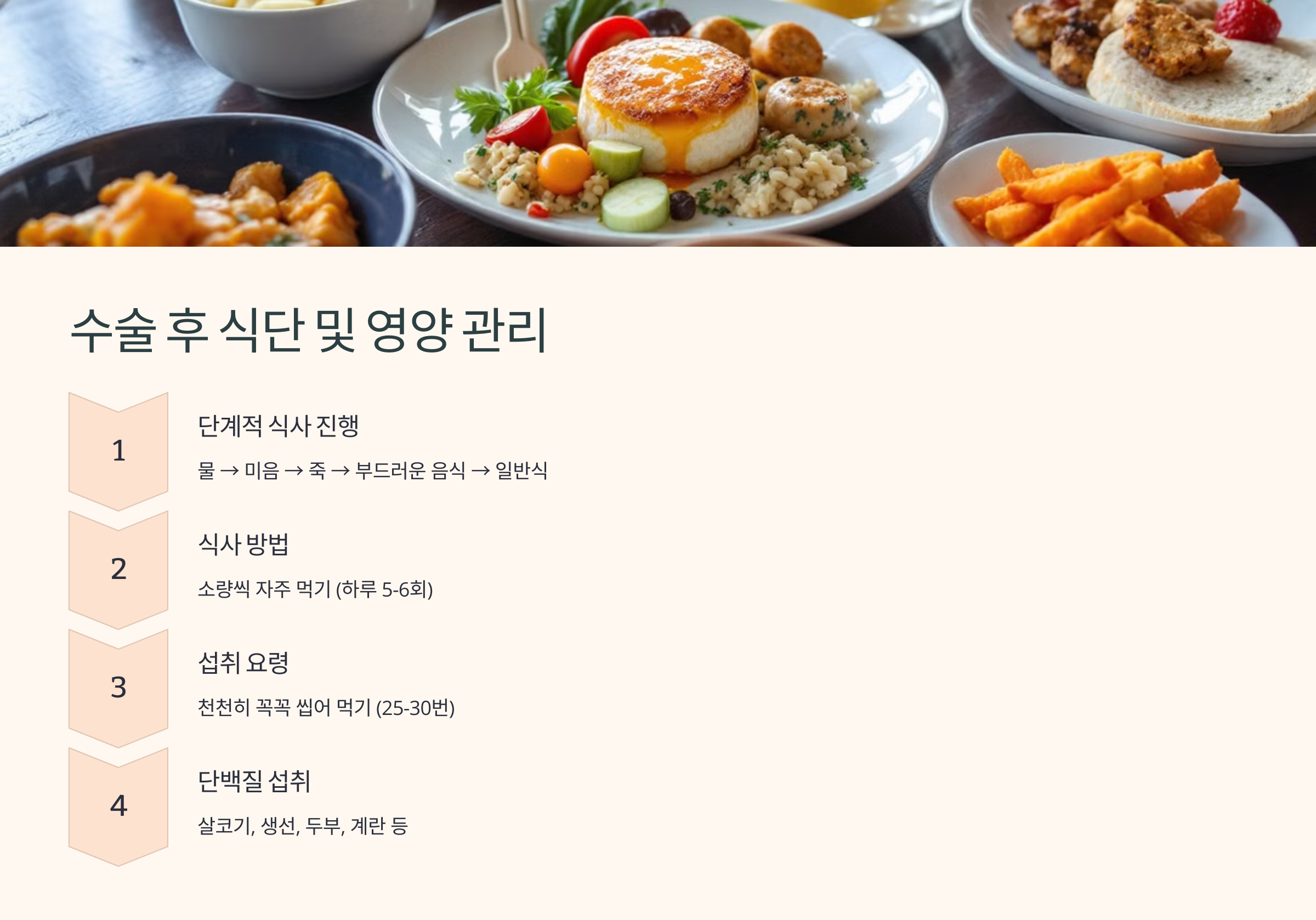 수술후 식단 및 영양관리