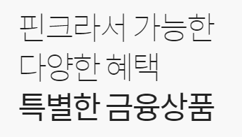 핀크 비상금대출 추천