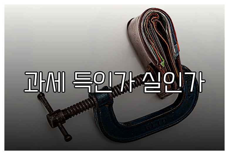 과세 득인가 실인가