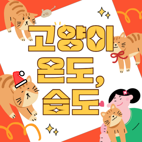 고양이를 위한 적정 온도와 습도, 겨울철 습도관리