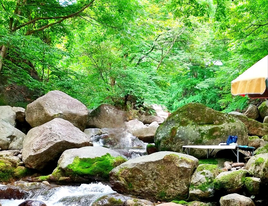 지리산 하동 쌍계사 계곡 신진식당 옆 신흥식당: 계곡 물놀이, 발 담그고 백숙 먹기