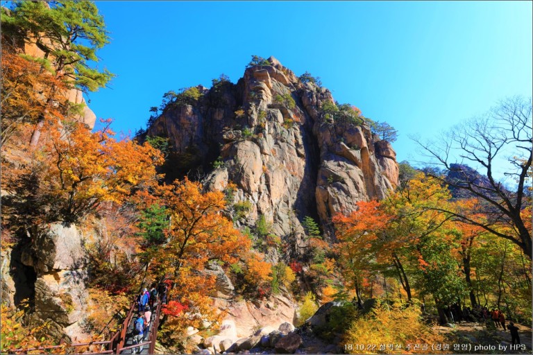 단풍 구경 명소