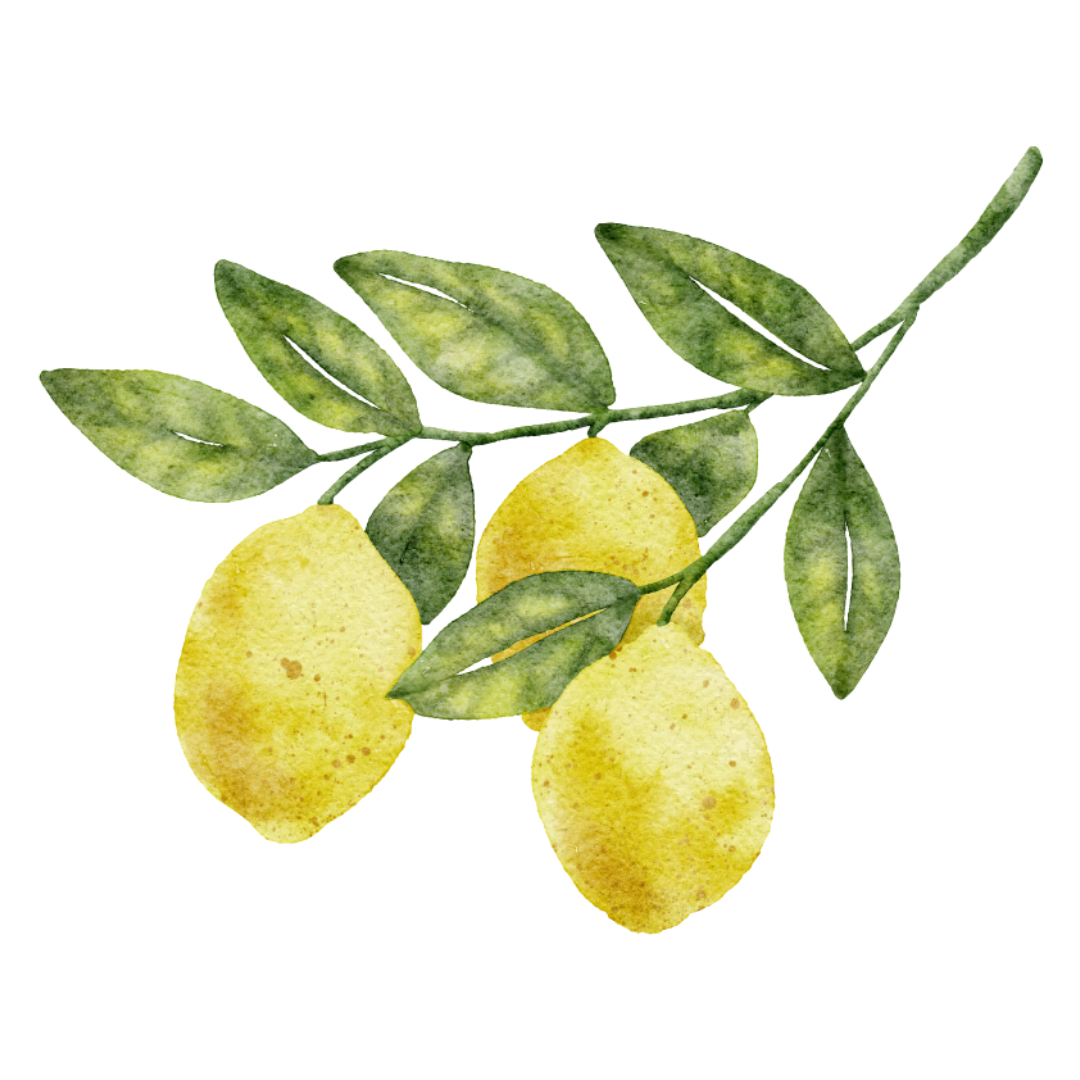 레몬즙과 관련된 사진입니다.