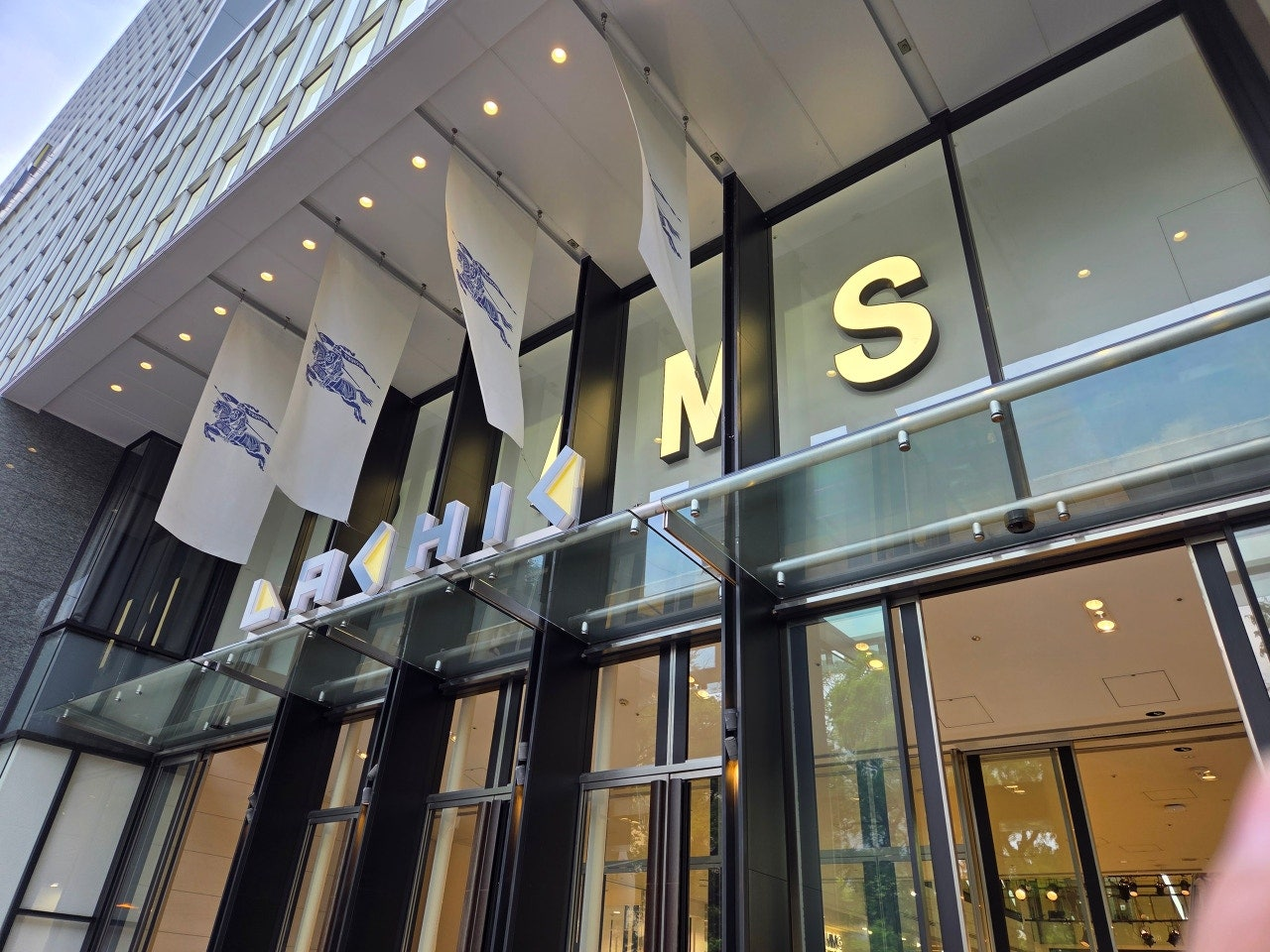 단톤,단톤반팔,단톤티셔츠,단톤모자,단톤가방 구매후기