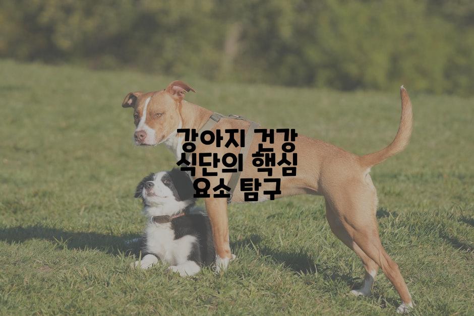 강아지 건강 식단의 핵심 요소 탐구