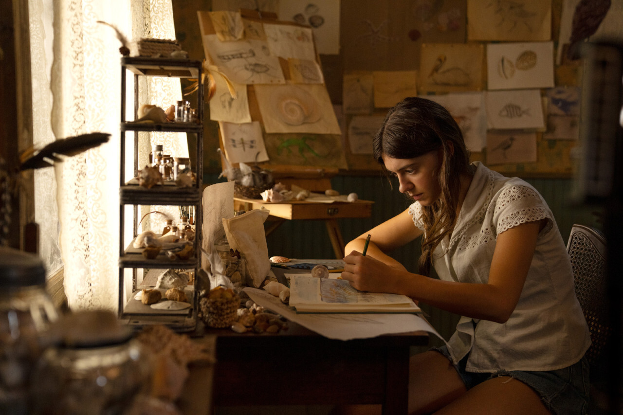 넷플릭스 영화 가재가 노래하는 곳 로맨스 성장 살인스릴러 끝장리뷰