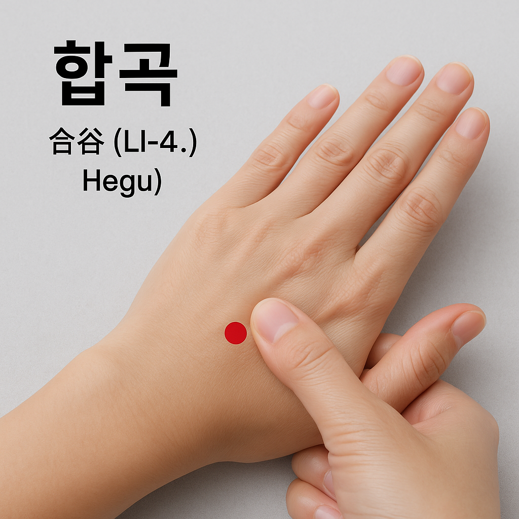 합곡혈