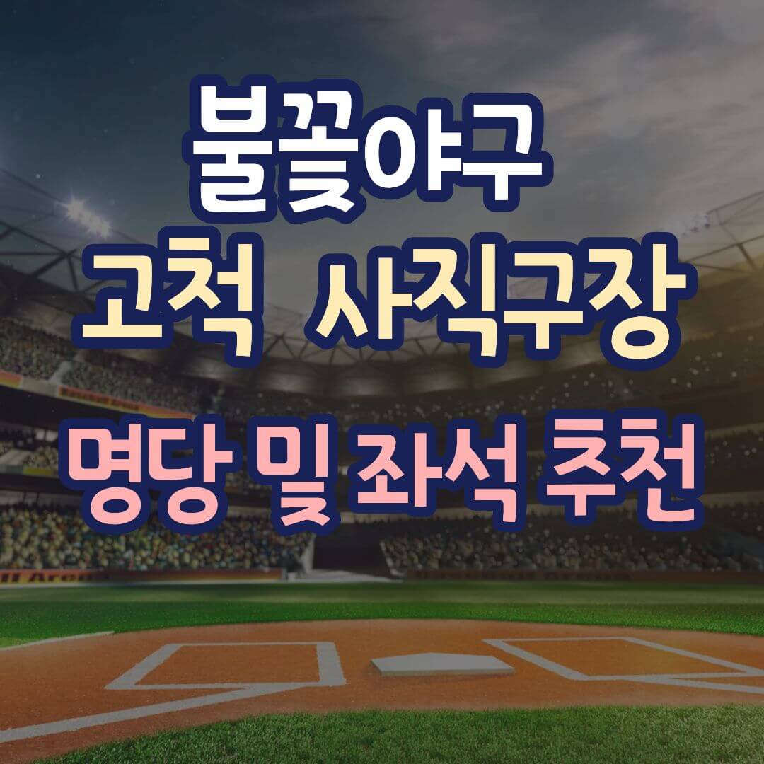 불꽃야구 명당