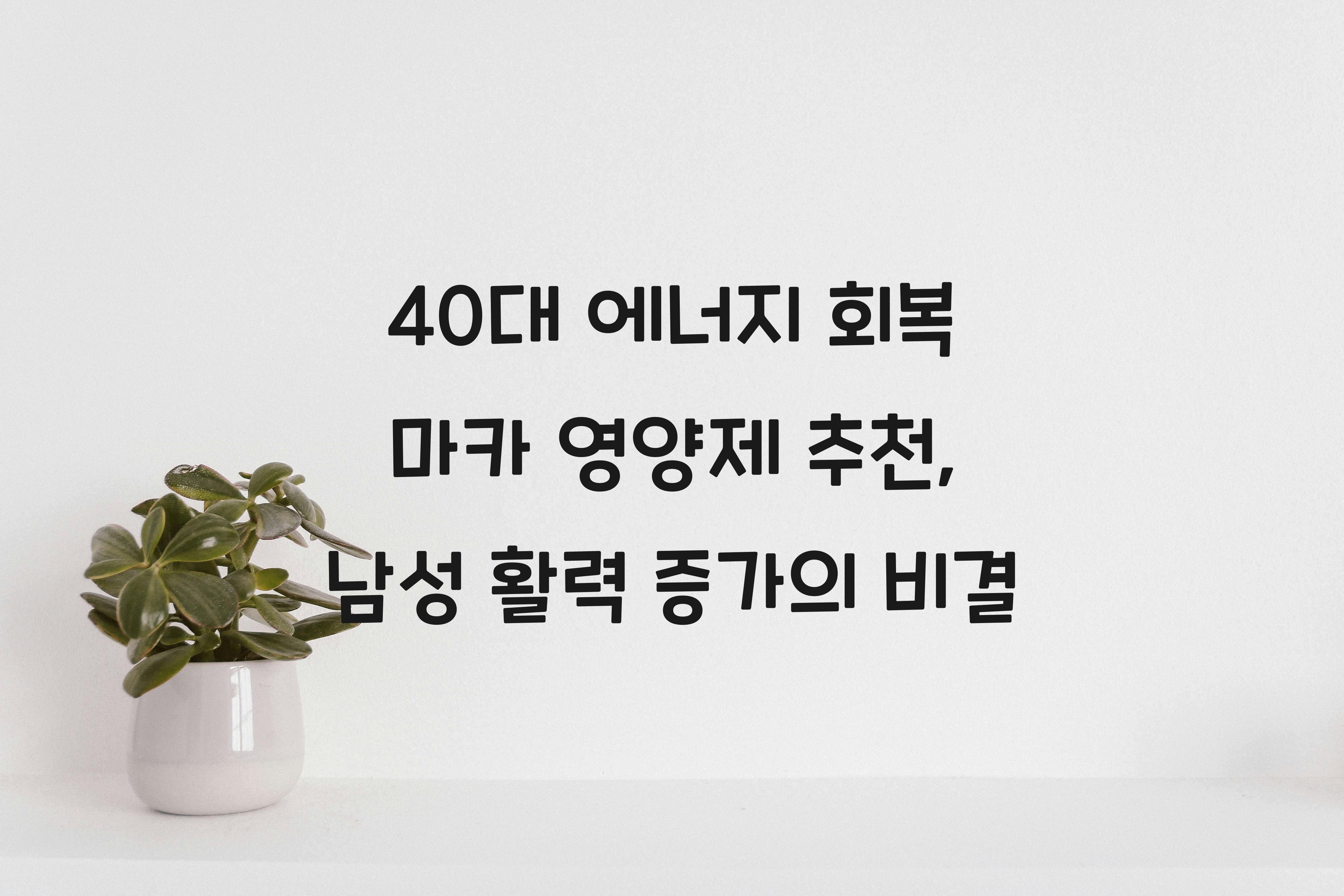 40대 에너지 회복 마카 영양제
