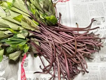 고구마순 볶음 레시피 꿀팁 레시피_5