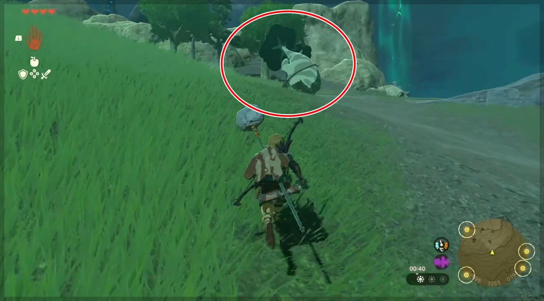 젤다왕눈 보쿠린