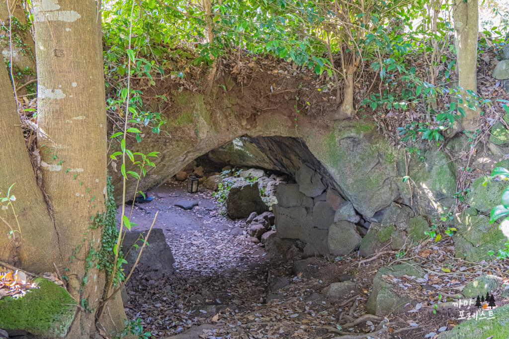비케이브 동굴 높이