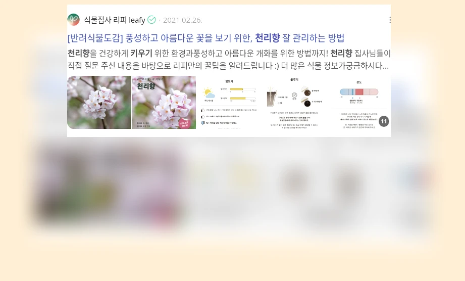 천리향 키우기_3_subsection