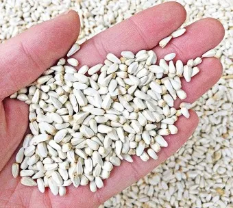 홍화씨 효능 영양성분 홍화씨유 먹는법_26