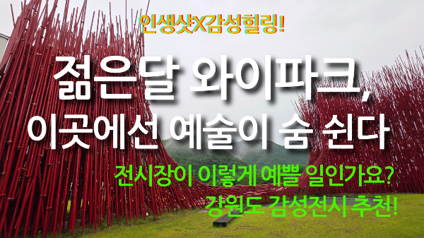 젊은달 와이파크 메인이미지