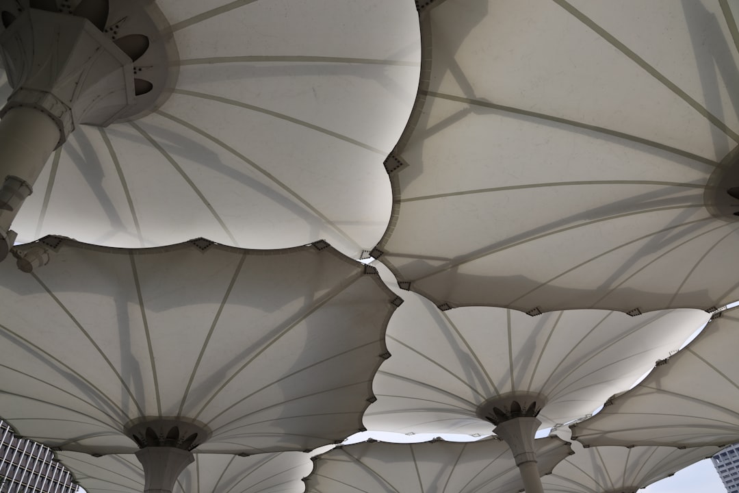 Canopy
