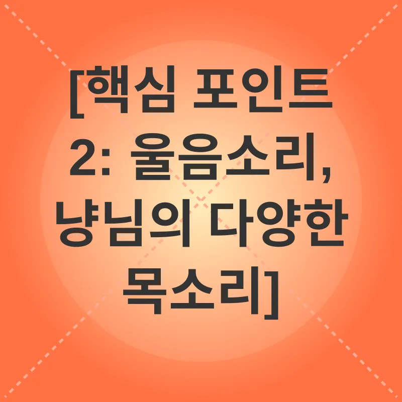 고양이 행동 언어_2