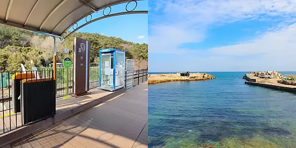 부산-해운대-해변열차-코스-구덕포정거장