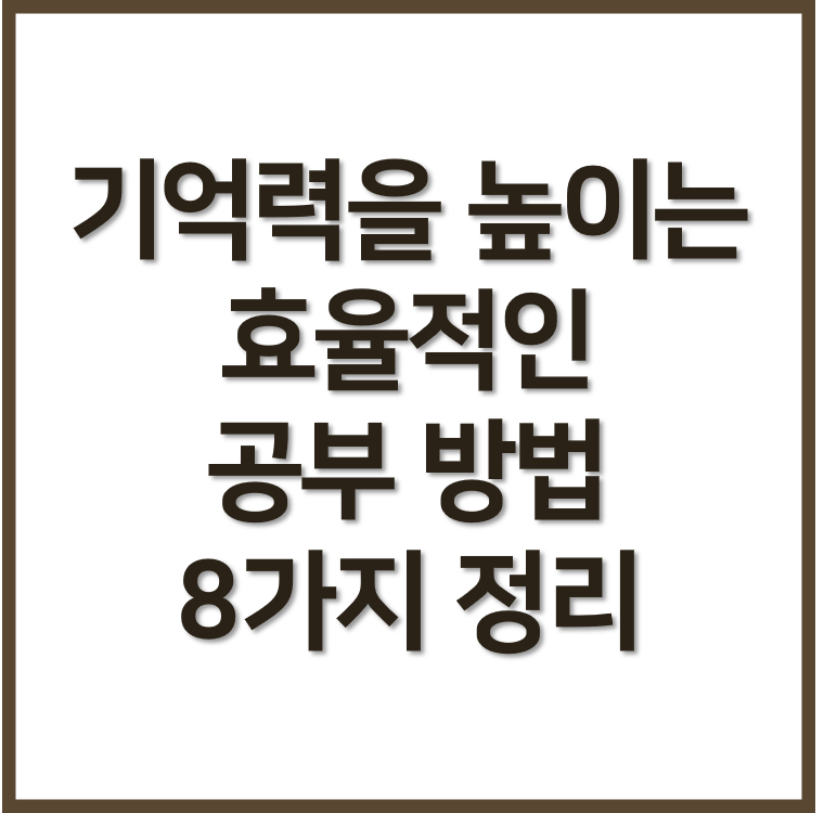 기억력을 높이는 효율적인 공부 방법 8가지 정리