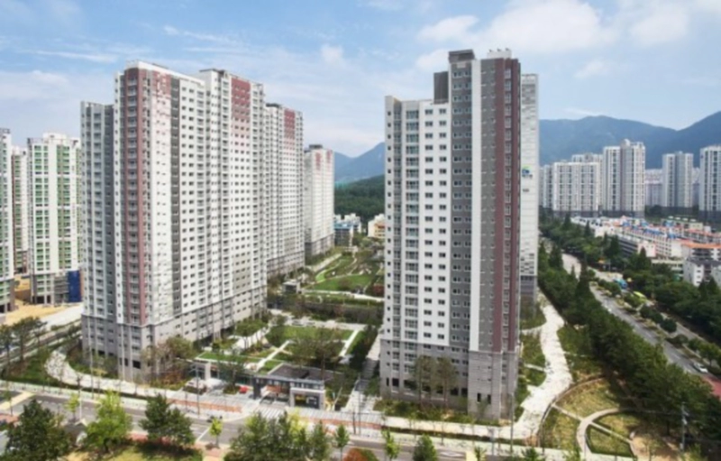 전국 깡통전세 감별기 MBC 영상